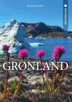 Naturguide Grønland | Rejseguide
