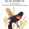 New World Blackbirds | Bog
