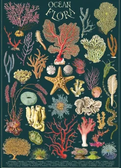 Ocean Flora plakat