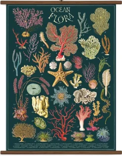 Ocean Flora stor plakat