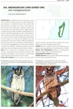 Owls of the World | Bog