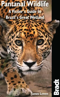 Pantanal Wildlife: A Visitors Guide to Brazil’s Great Wetland | Rejseguide