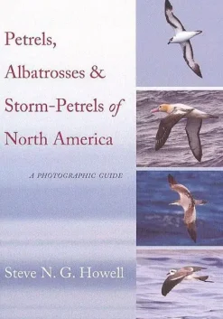 Petrels, Albatrosses & Storm-Petrels of North America | Bog