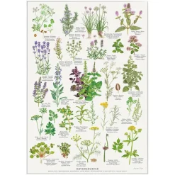 Plakat Krydderurter A4
