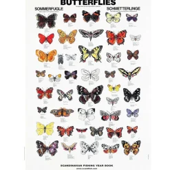 Plakat med sommerfugle