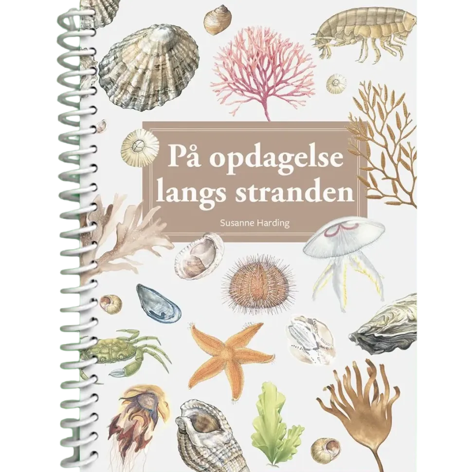 På opdagelse langs stranden