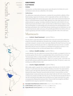 Primates of the World : An Illustrated Guide | Bog