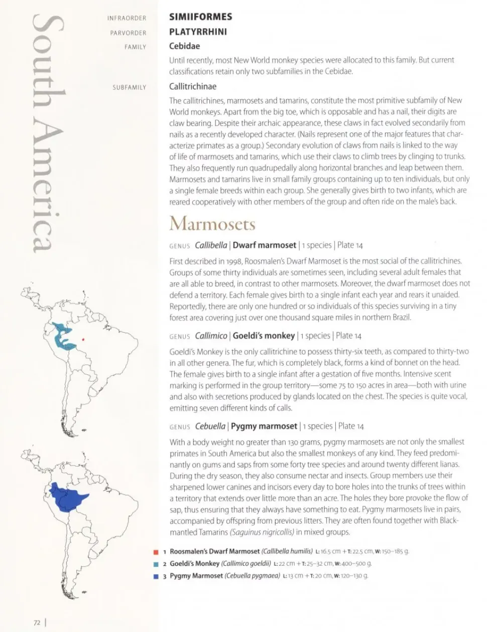 Primates of the World : An Illustrated Guide | Bog