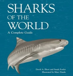 Sharks of the World: A Complete Guide | Bog