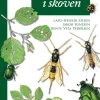 Små dyr i skoven | Bog