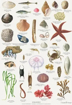 Stranden Plakat A4