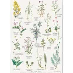 Strandplanter Plakat A2