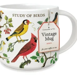 Study of birds krus