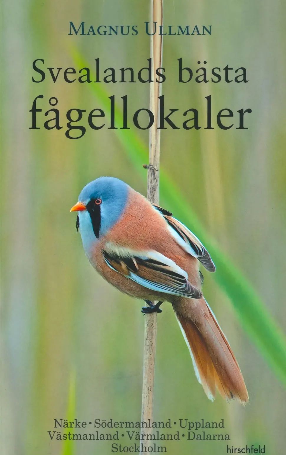 Svealands bästa fågellokaler | Rejseguide