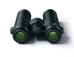 Swarovski CL Companion Habicht 8×30 | kikkert