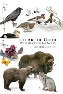 The Arctic Guide – Wildlife of the Far North | Bog