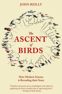 The Ascent of Birds – John Reilly