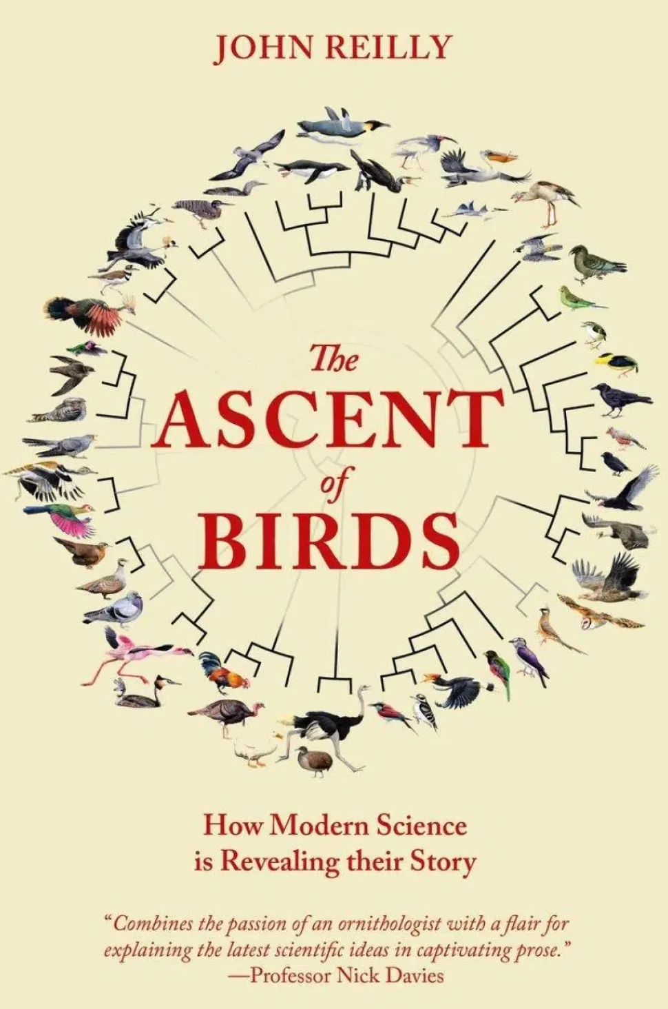 The Ascent of Birds – John Reilly