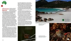 The 100 Best Birdwatching Sites in Australia | Rejseguide