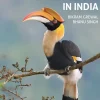 The 100 Best Birdwatching Sites in India | Rejseguide
