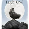The Eagle Owl | Bog