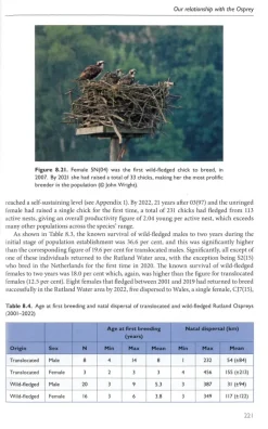 The Osprey | Bog