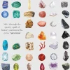 The Secret Lives of Stones: ‘A real cabinet of curiosities’ | Bog