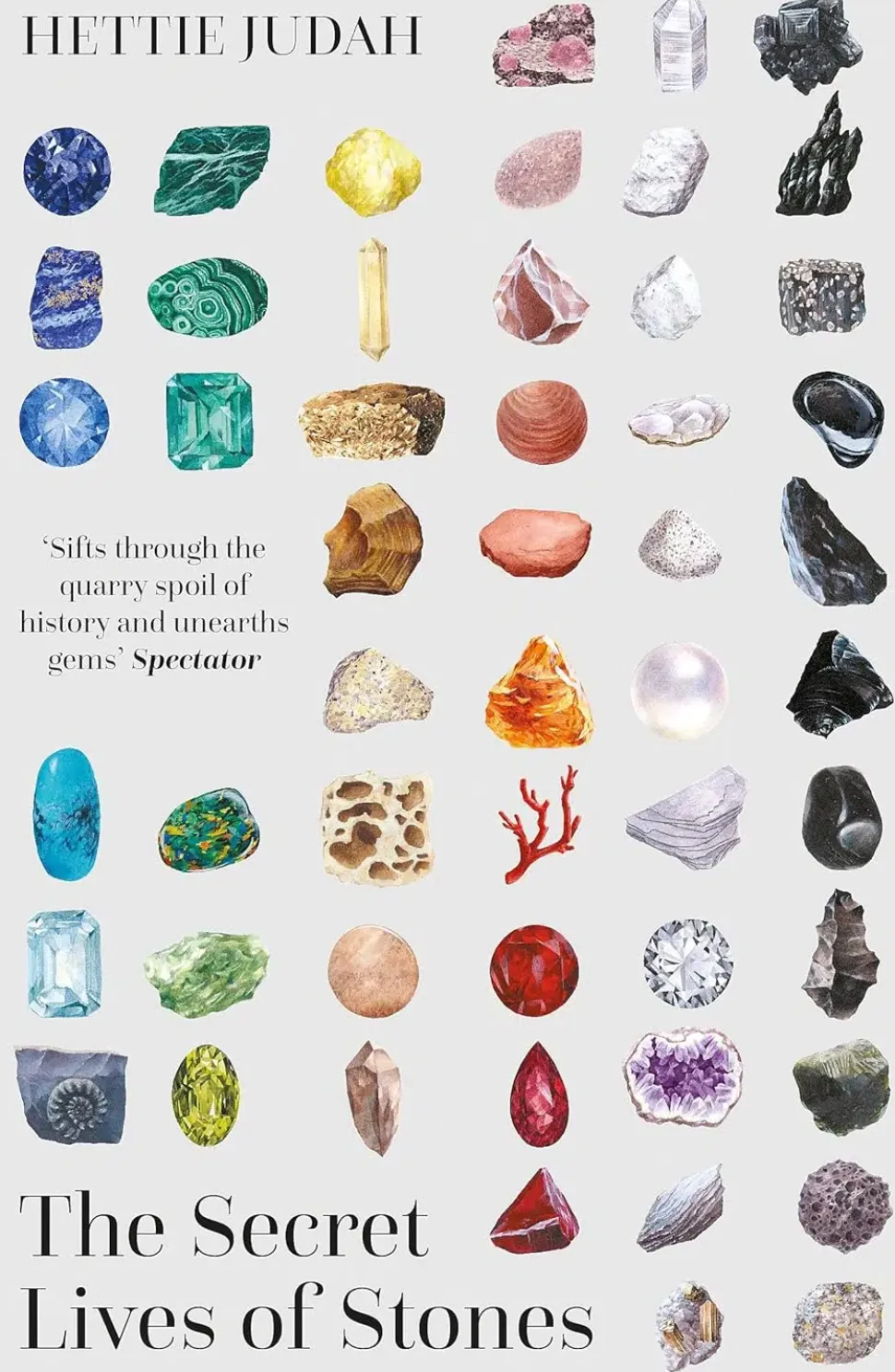The Secret Lives of Stones: ‘A real cabinet of curiosities’ | Bog