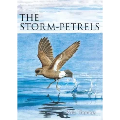 The Storm-petrels