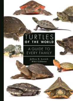 Turtles of the world: A guide to every family | Bog