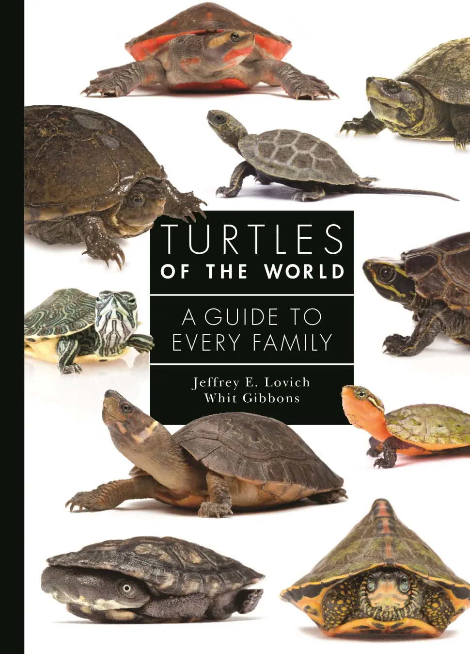 Turtles of the world: A guide to every family | Bog