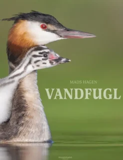 Vandfugl af Mads Hagen | Bog