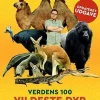 Verdens 100 vildeste dyr af Sebastian Klein | Børnebog