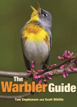 Warbler Guide: North America | Bog