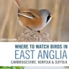 Where to watch Birds in East Anglia: Cambridgeshire, Norfolk and Suffolk | Rejseguide