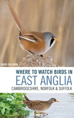 Where to watch Birds in East Anglia: Cambridgeshire, Norfolk and Suffolk | Rejseguide