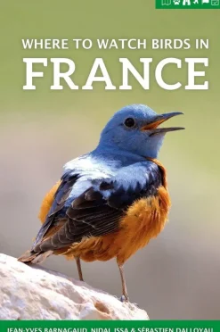 Where to watch birds in France | Rejseguide