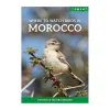 Where to Watch Birds in Morocco | Rejseguide