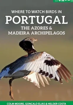 Where to watch birds in Portugal, the Azores and Madeira archipelagos | Rejseguide
