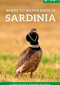Where to watch birds in Sardinia | Rejseguide
