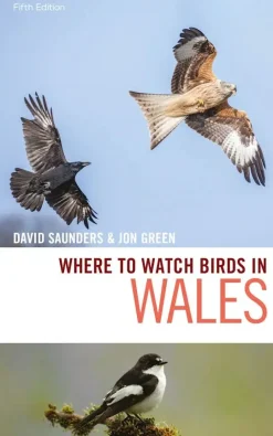 Where to watch Birds in Wales | Rejseguide