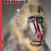 Why we Photograph Animals | Bog