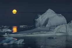 WILD Arctic | Fotobog