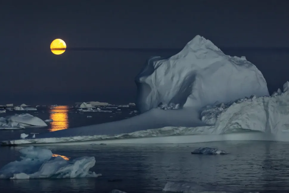 WILD Arctic | Fotobog
