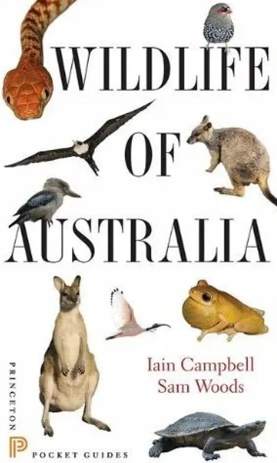 Wildlife of Australia | Bog
