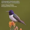 Wildlife of Ecuador – Photographic guide | Bog