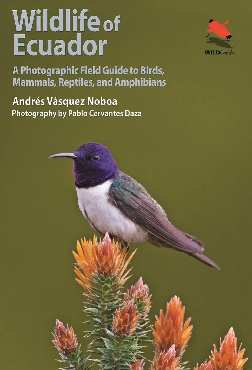 Wildlife of Ecuador – Photographic guide | Bog