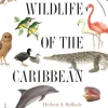 Wildlife of the Caribbean | Bog